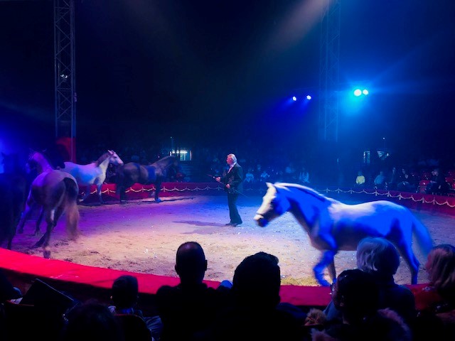 Sortie au cirque Medrano
