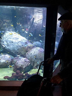 Sortie à l&rsquo;aquarium de Lyon