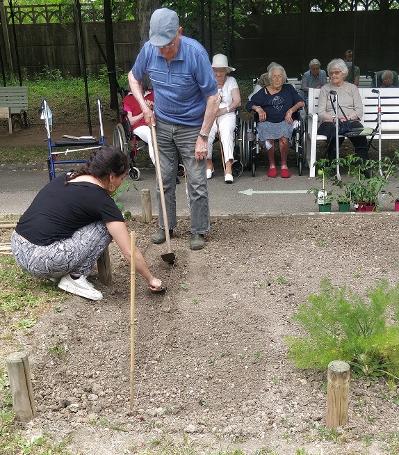 Nouvelles plantations dans notre jardin