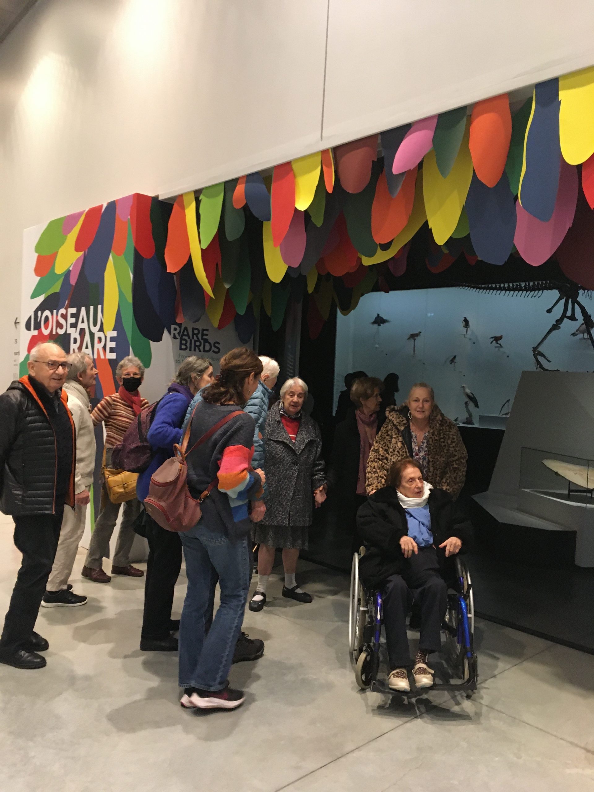 Sortie au Musée des Confluences avec les résidents de l’UPDP