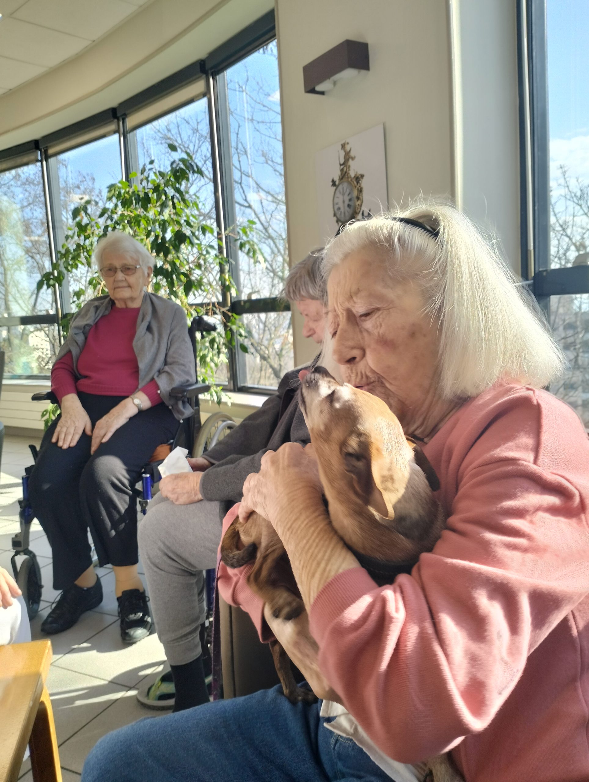 Nouvelle visite de Biscotte