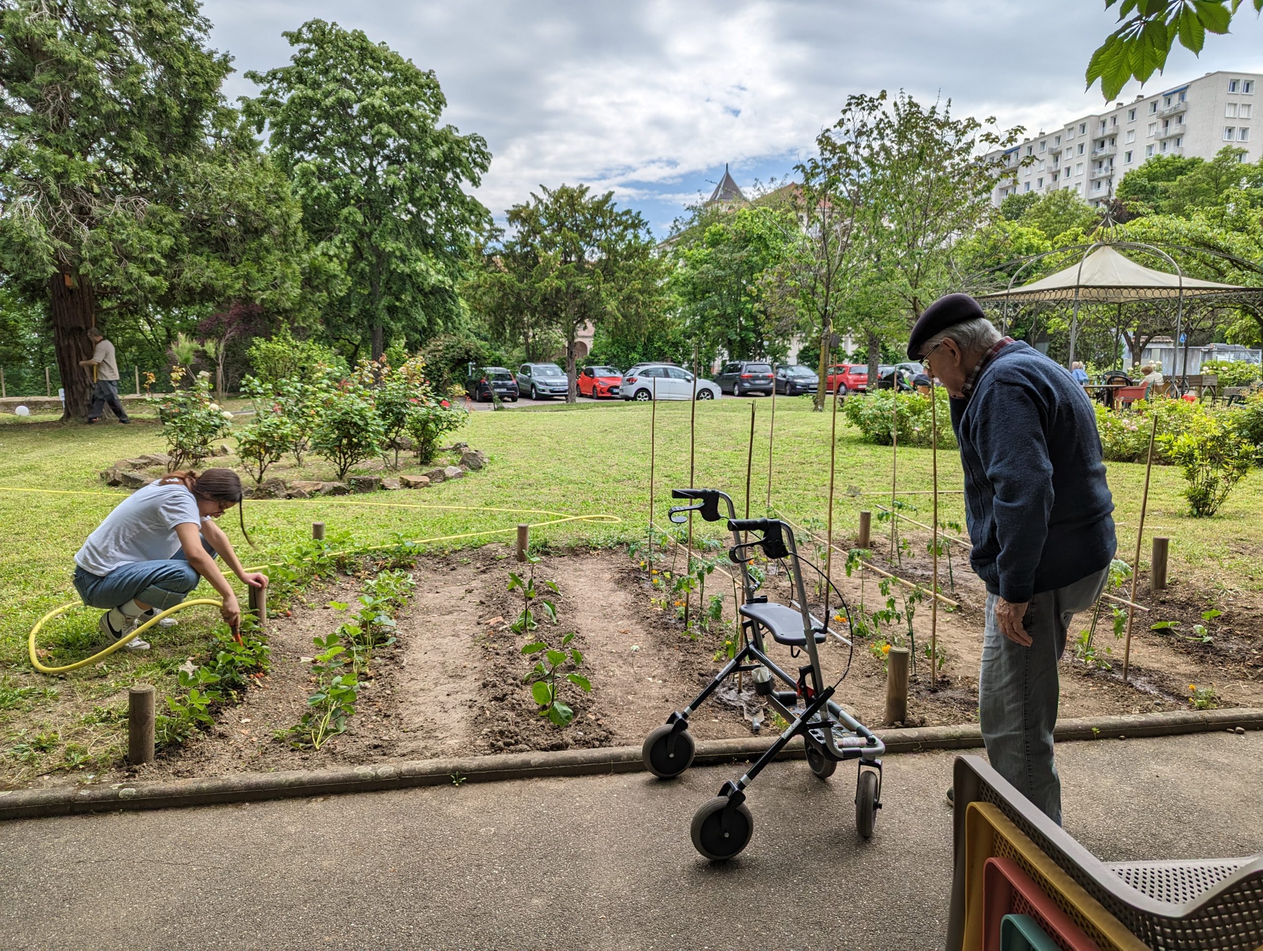 Plantations dans notre potager