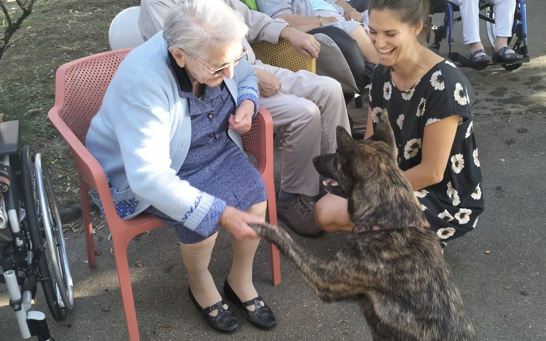 Visite de Leslie vétérinaire et de son chien Nova