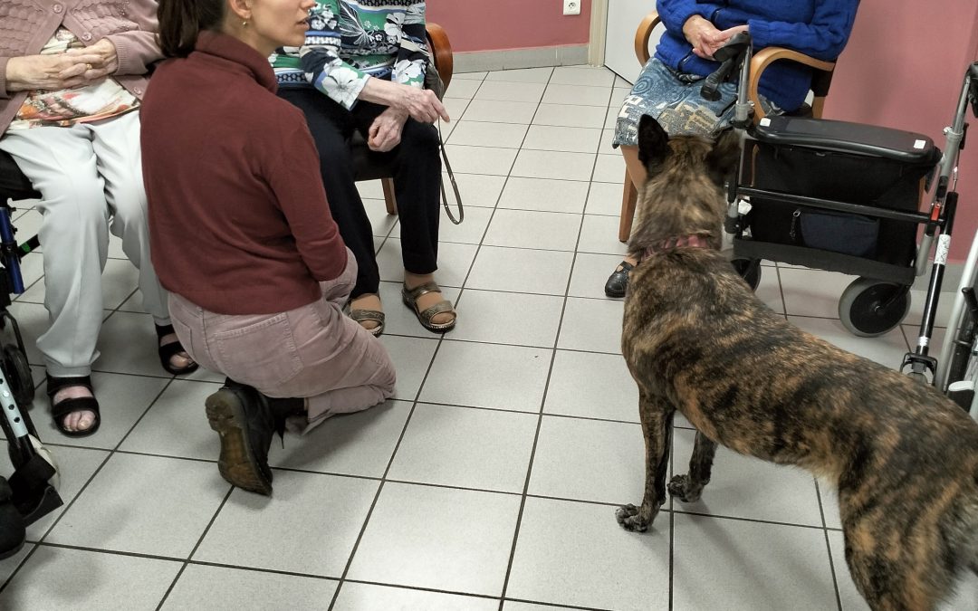 Visite de Leslie et de sa chienne