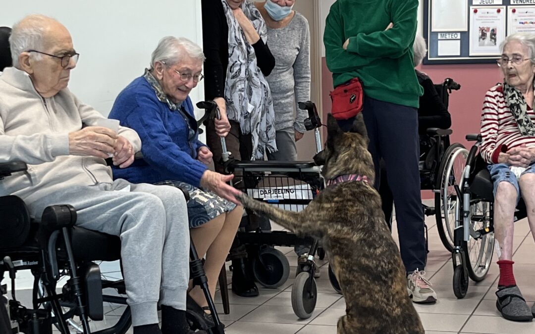 Visite de la chienne Nova et de sa maitresse Leslie