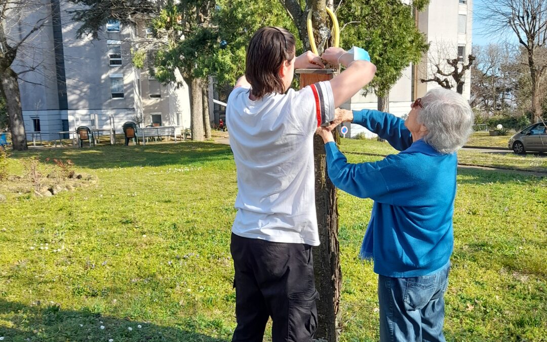 Installation des cabanes à oiseaux dans le parc des Amandines