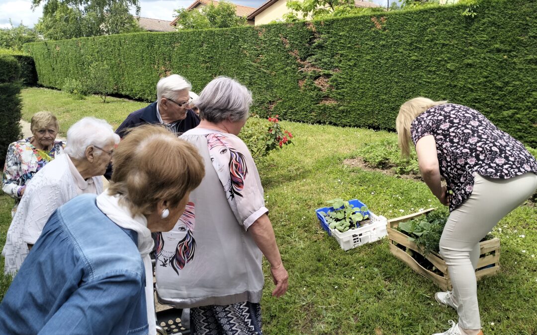 Rencontre avec les pensionnaires de la résidence autonomie Chantegrillet