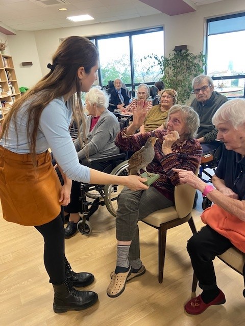 Quand le Musée des Confluences de Lyon s&rsquo;invite aux Amandines