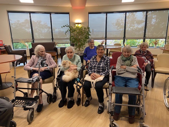 Les revues de presse : rester informé et connecté au monde