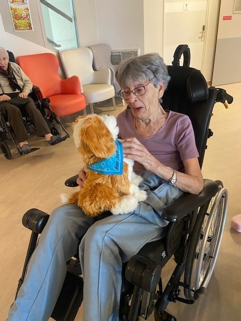 Chiens et chats connectés