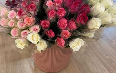 Une rose pour célébrer les mamans