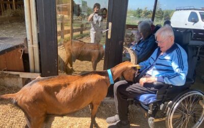Des sorties à la ferme pédagogique de Charly : des moments de découverte et de partage