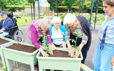 Le jardinage : cultiver le plaisir et les souvenirs aux Amandines
